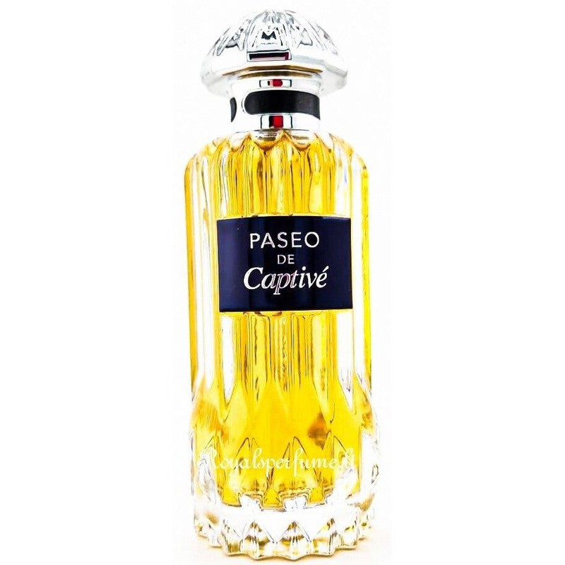 PENDORA SCENTS Paseo De Captive perfumed water for men 100ml - Royalsperfume PENDORA SCENT All